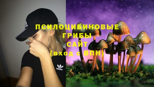 бошки Балахна